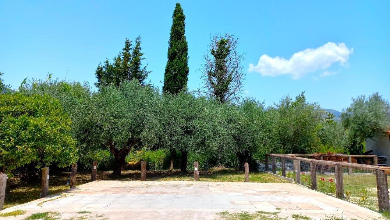 Platanos Villa Vasiliki  Luaran gambar